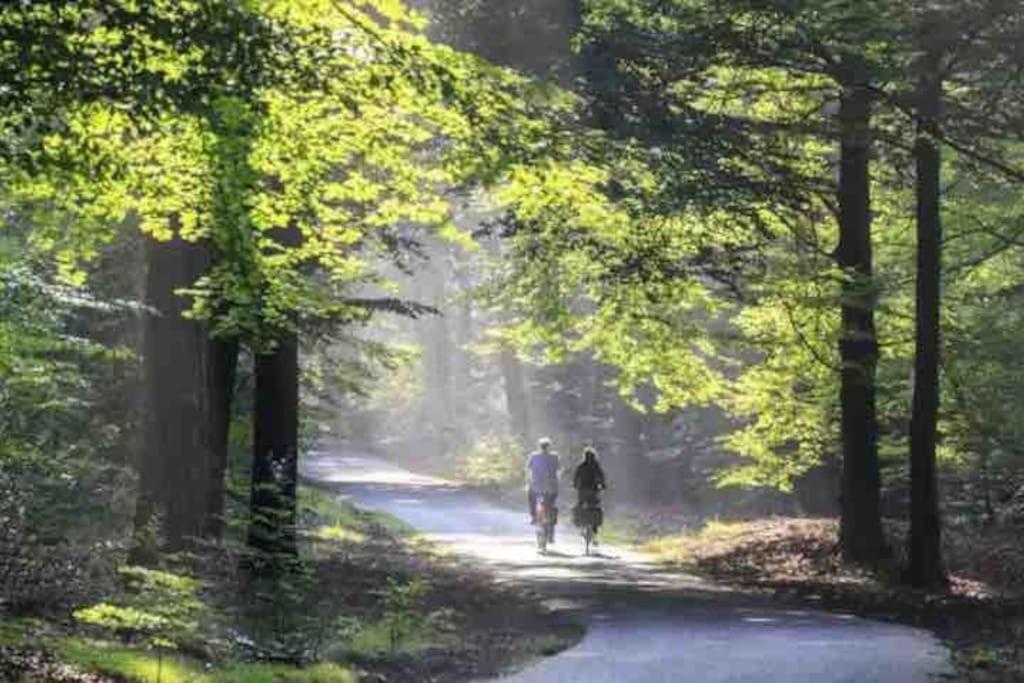 Chalet Toetje Op De Veluwe Hoenderloo Dış mekan fotoğraf