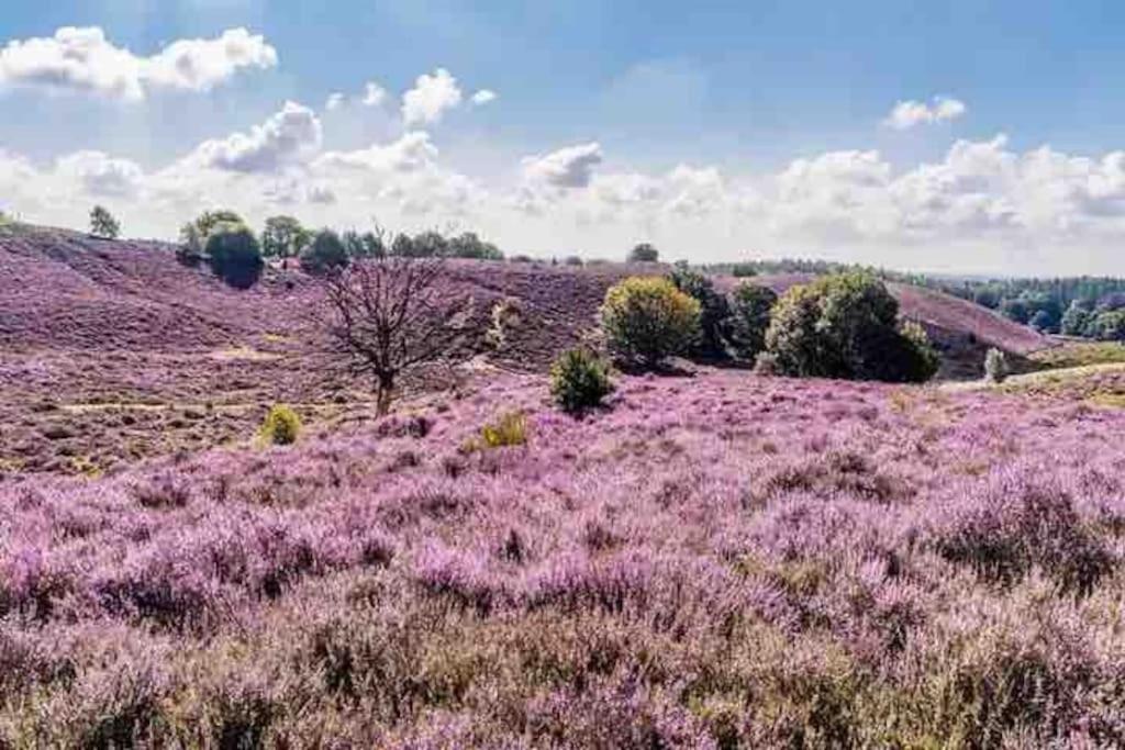 Chalet Toetje Op De Veluwe Hoenderloo Dış mekan fotoğraf